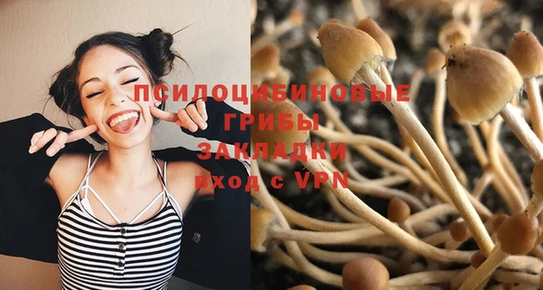 дмт Гусев