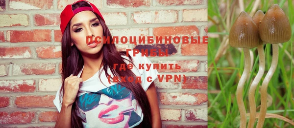 прущая мука Шали