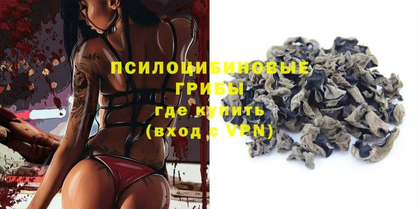 дмт Гусев