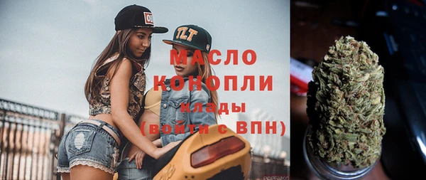 дмт Гусев